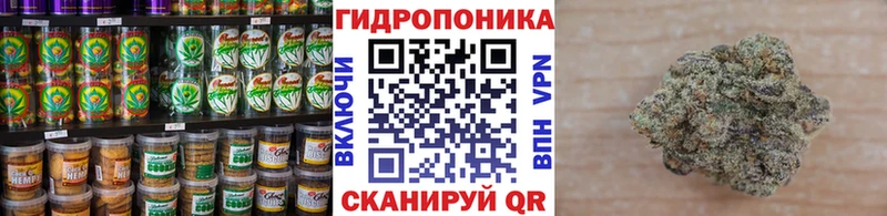 Печенье с ТГК марихуана  где найти наркотики  Кирсанов 