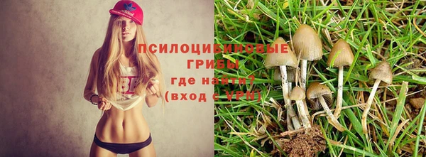 героин Михайлов