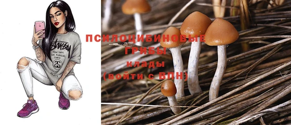 героин Михайлов