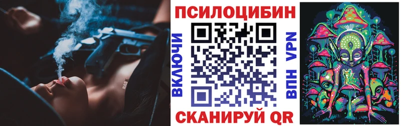 Галлюциногенные грибы GOLDEN TEACHER  где продают   Кирсанов 
